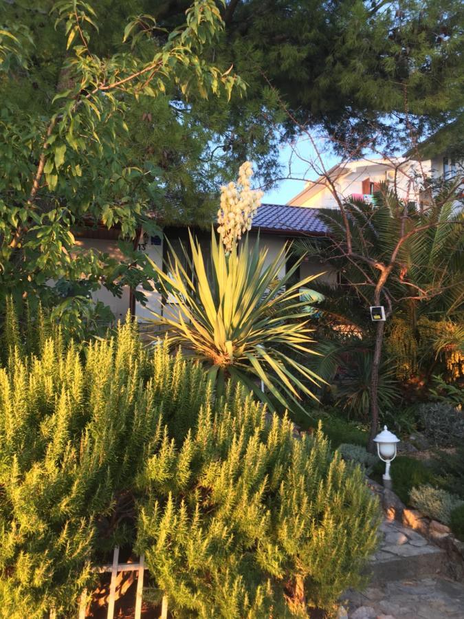 Beach House Starigrad Paklenica Esterno foto